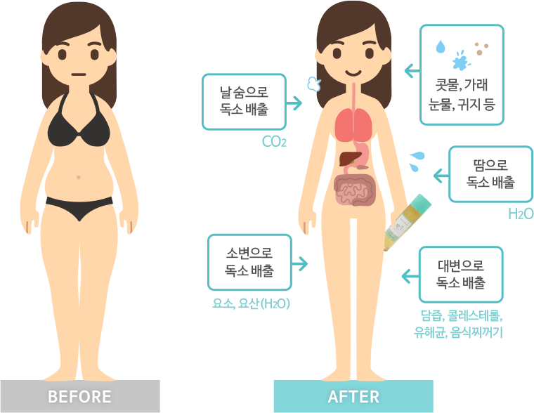 날숨으로 독소배출, 콧물, 가래, 눈물, 귀지, 땀, 소변, 대변으로 독소 배출