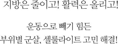 지방은 줄이고! 활력은 올리고! 운동으로 빼기 힘든 부위별 군살, 셀룰라이트 고민 해결