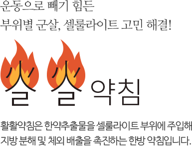 부위별 군살, 셀룰라이트 고민 해결! 활활약침