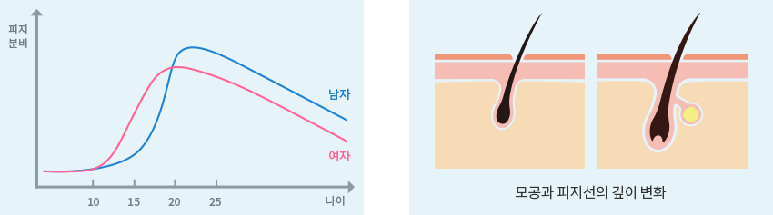 그래프