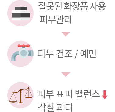 잘못된 화장품 사용, 피부관리 - 피부건조, 예민 - 피부 표피 밸런스 저하, 각질 과다