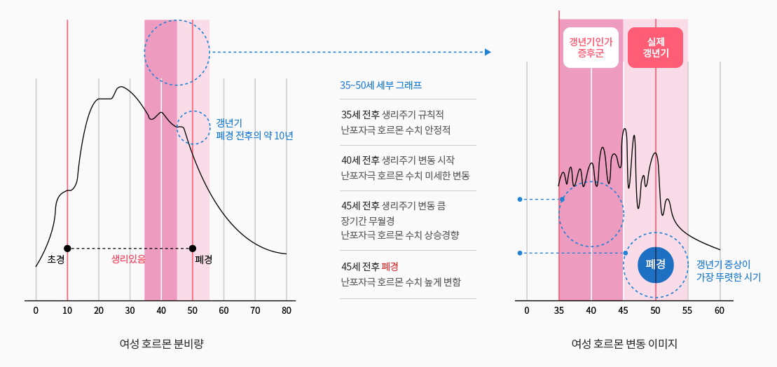 갱년기 여성호르몬 변화