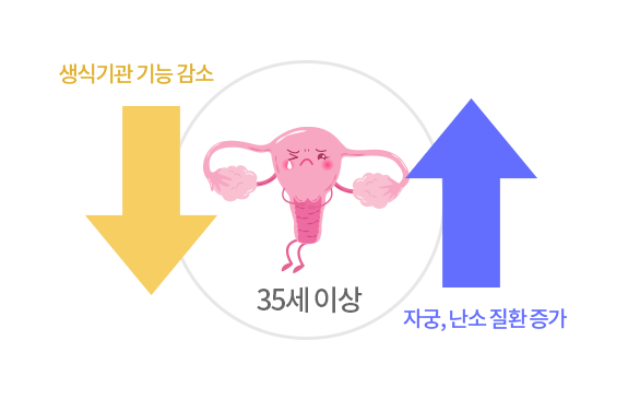 자궁/난소 질환의 발생 가능성 증가